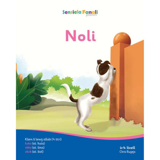 Picture of SENSIELA FANALI 4 NOLI